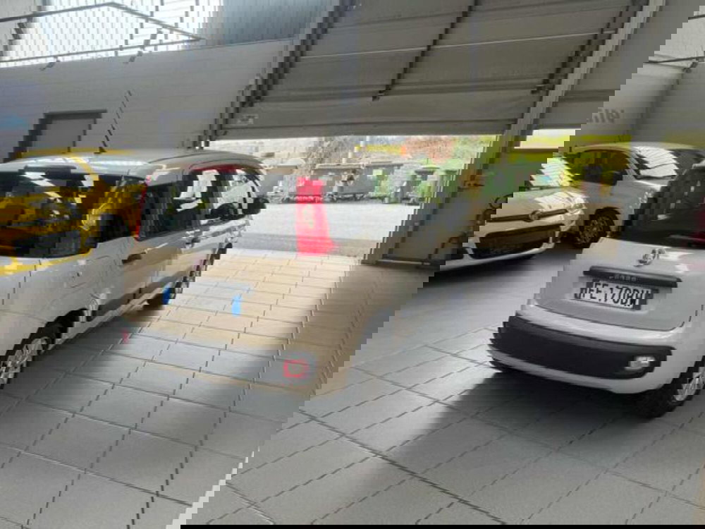 Fiat Panda usata a Vercelli (7)