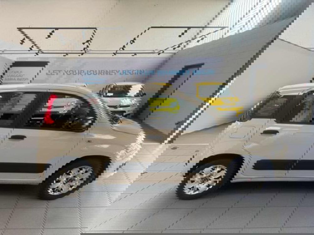 Fiat Panda usata a Vercelli (8)
