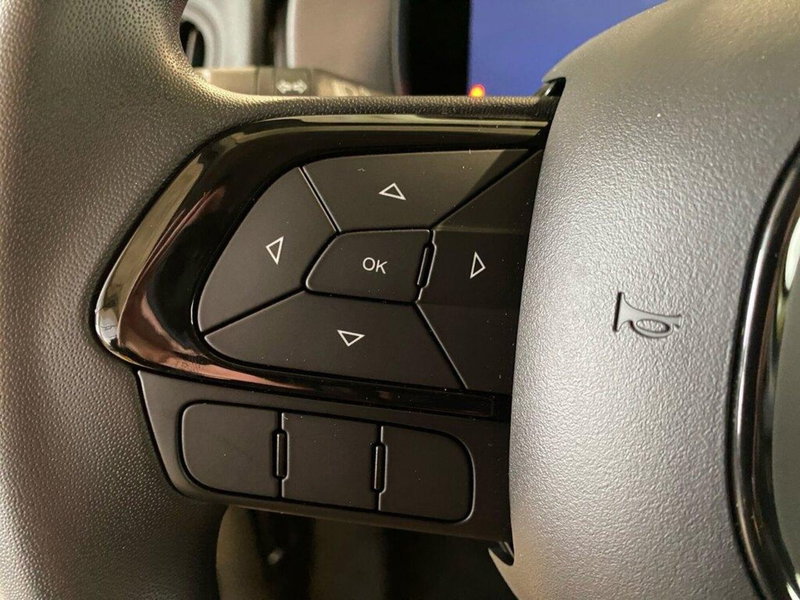 Fiat Panda Cross nuova a Torino (13)