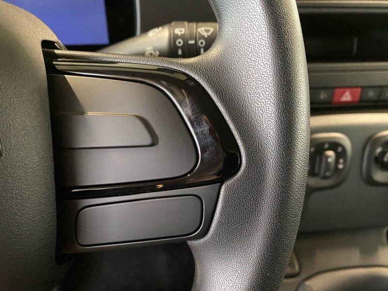 Fiat Panda Cross nuova a Torino (14)