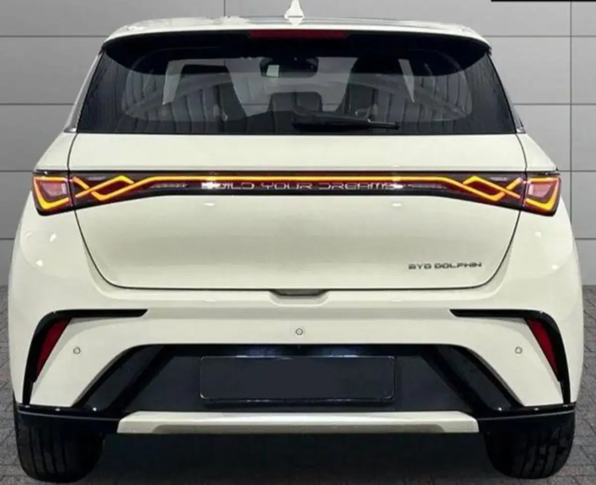 Byd Dolphin nuova a Bologna (4)