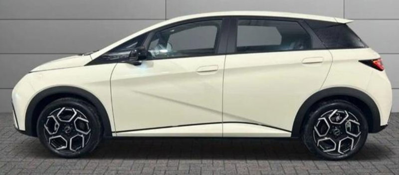 Byd Dolphin nuova a Bologna (6)