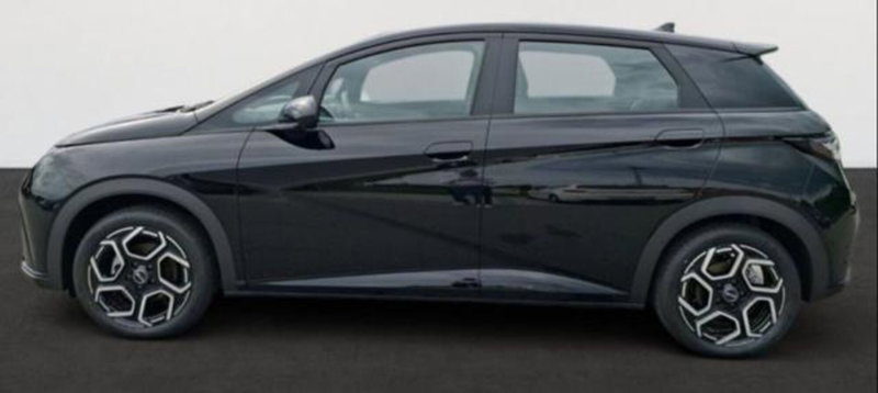 Byd Dolphin nuova a Bologna (3)