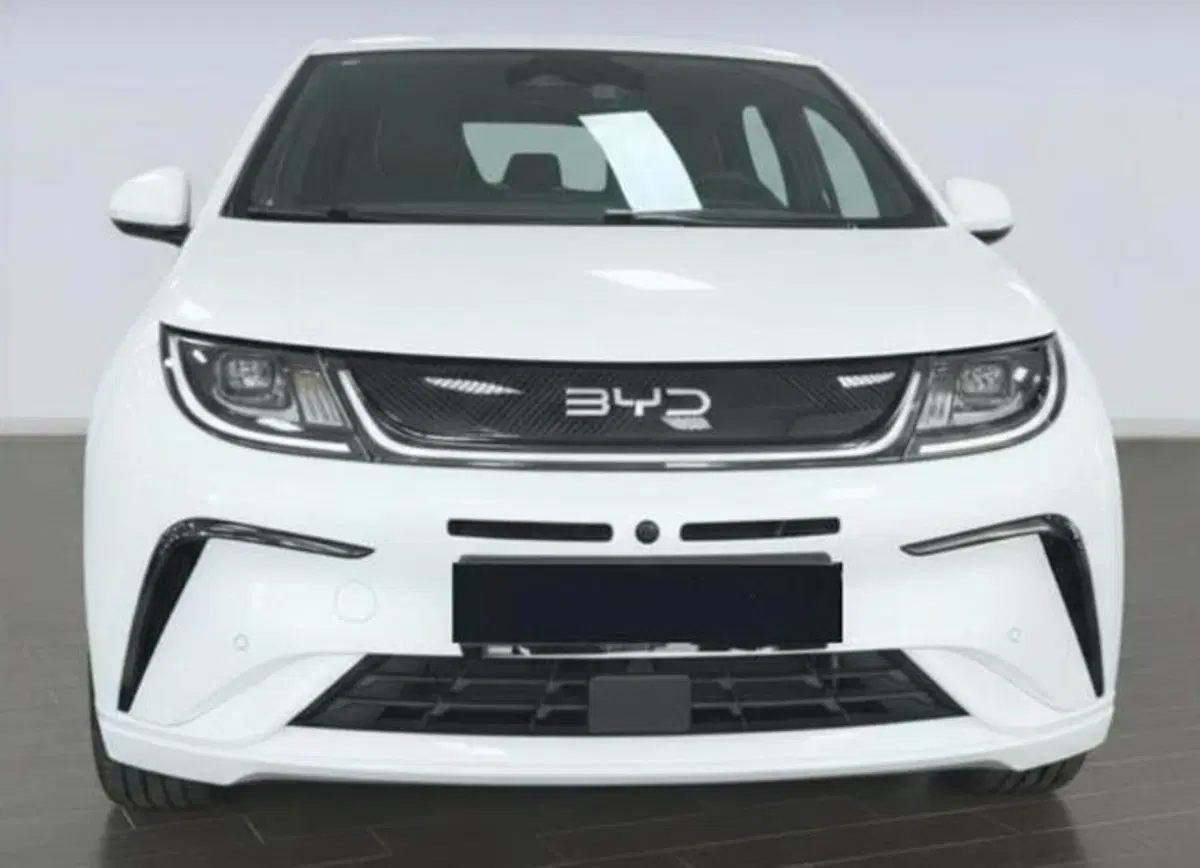 Byd Dolphin nuova a Bologna