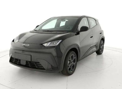 Byd Dolphin Surf 30 kWh Active nuova a Castenaso