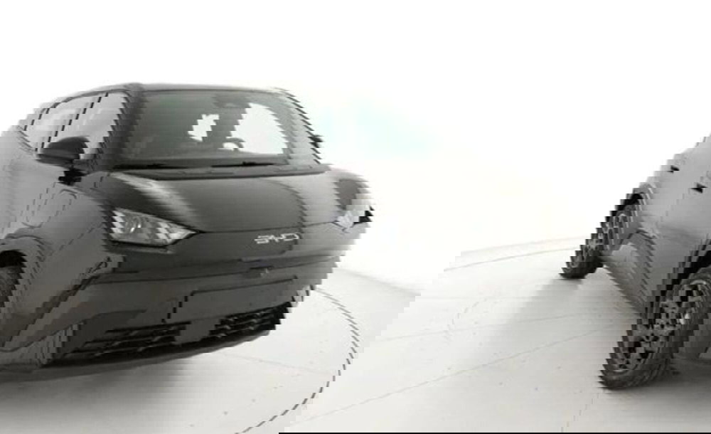 Byd Dolphin Surf nuova a Bologna (2)