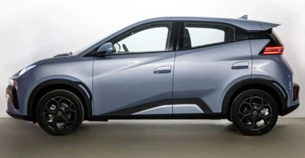 Byd Dolphin Surf nuova a Bologna (4)