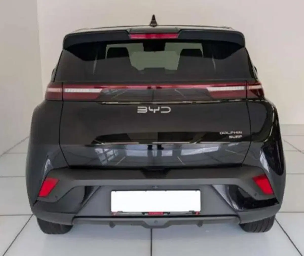 Byd Dolphin Surf nuova a Bologna (4)