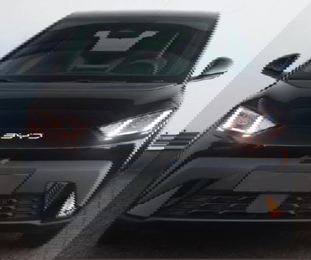 Byd Dolphin Surf nuova a Bologna (8)