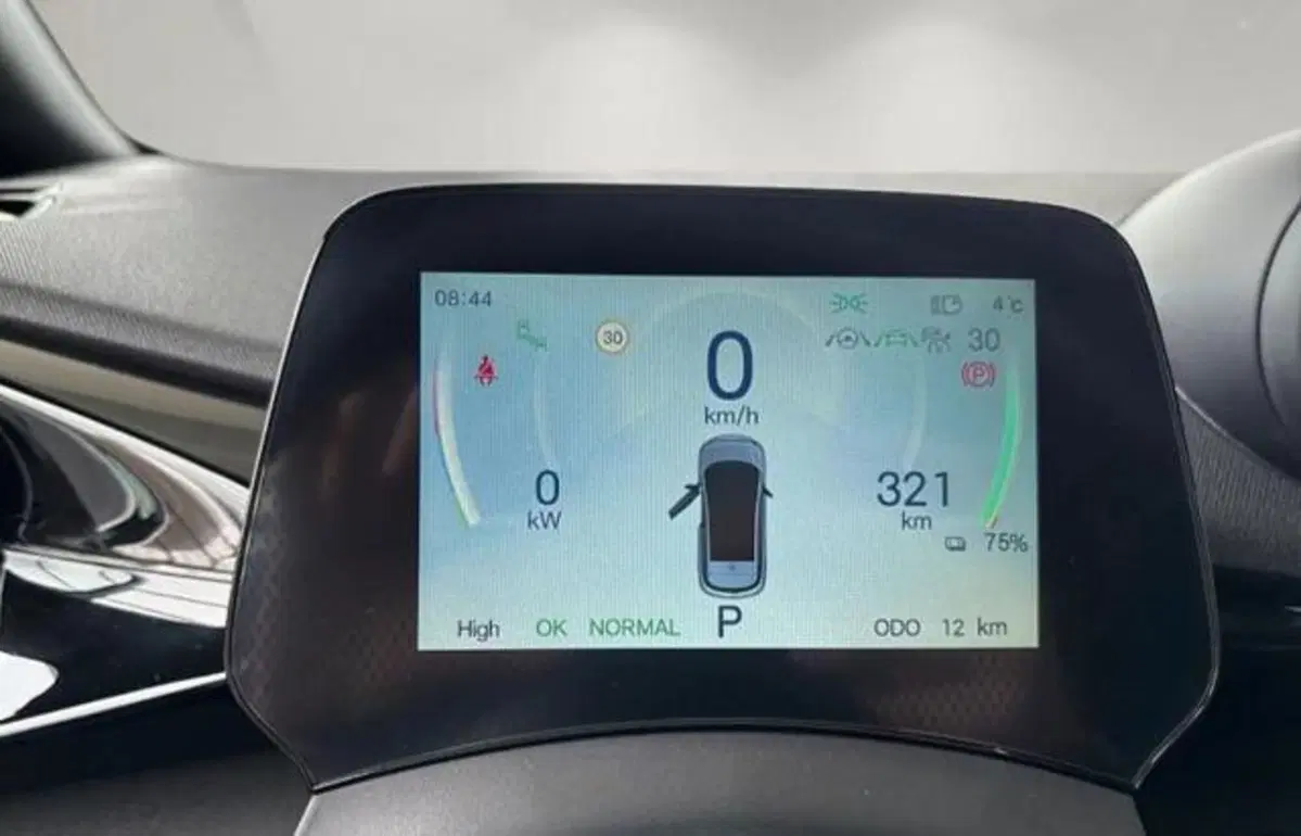 Byd Dolphin Surf nuova a Bologna (7)