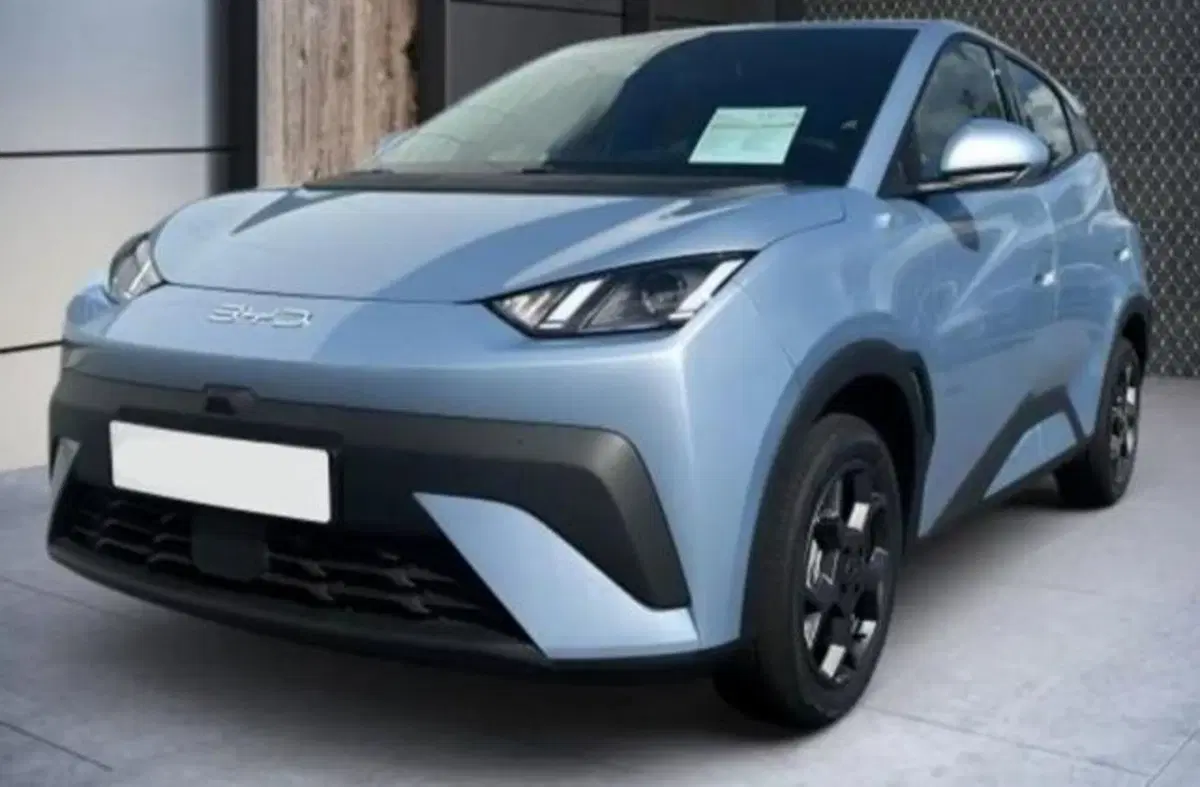 Byd Dolphin Surf nuova a Bologna (2)