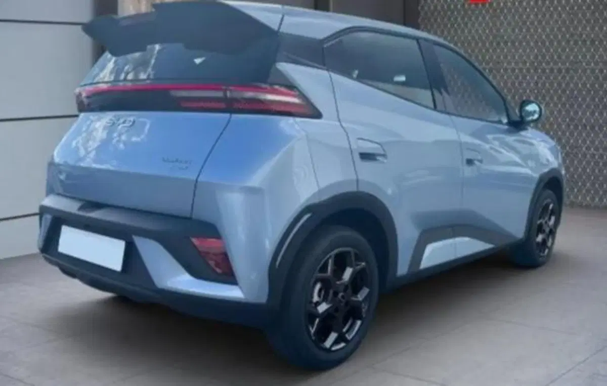 Byd Dolphin Surf nuova a Bologna (4)