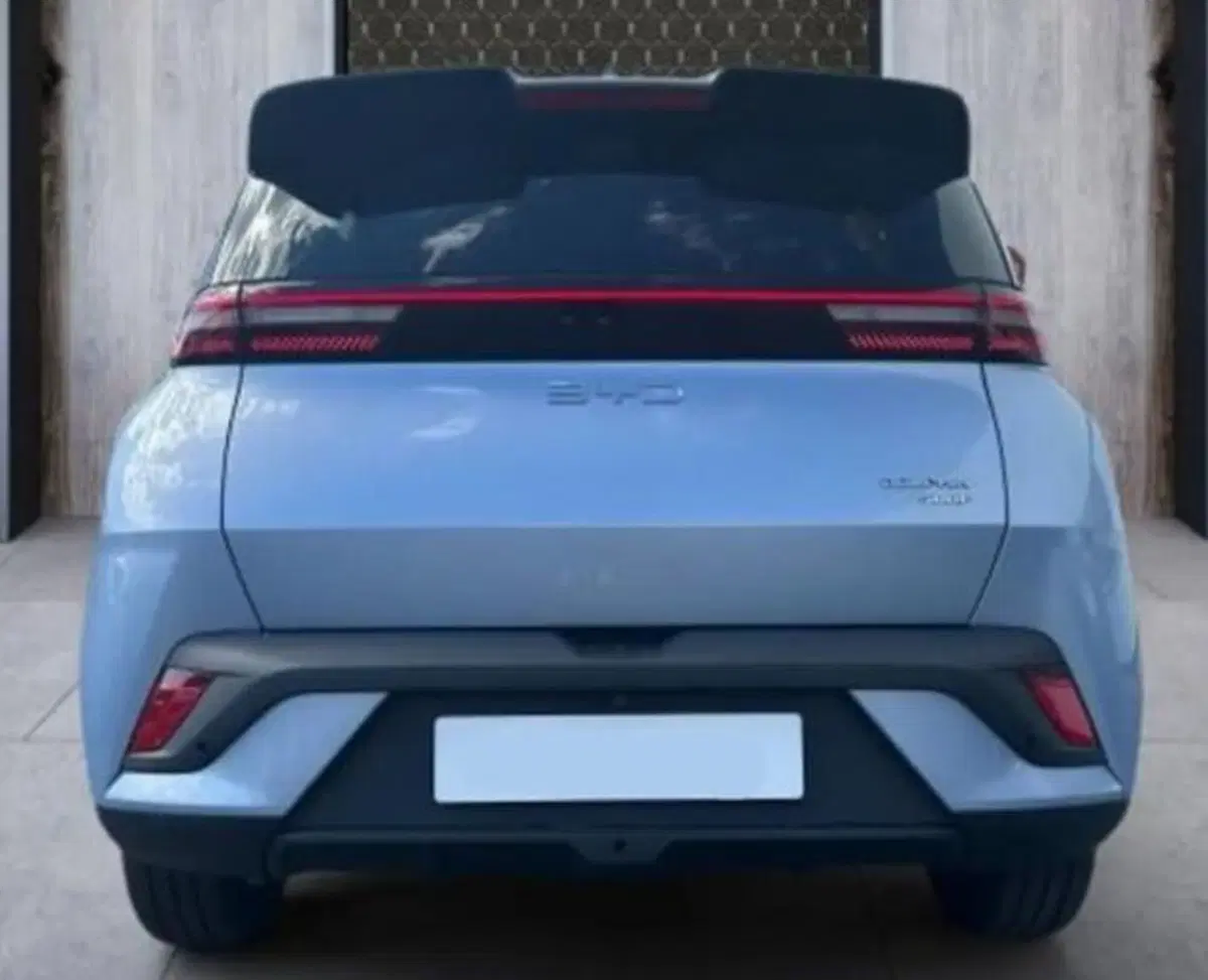 Byd Dolphin Surf nuova a Bologna (5)