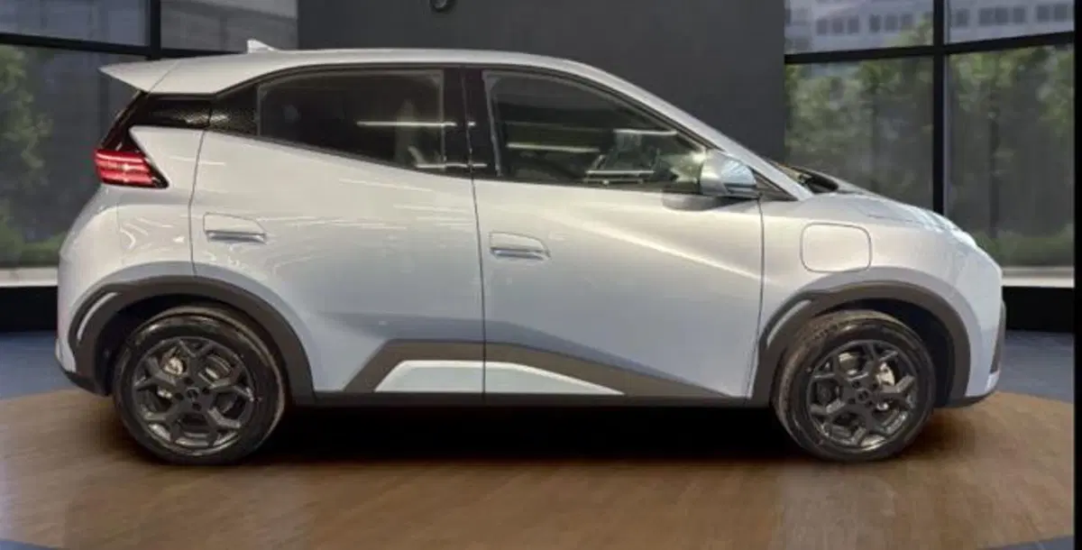 Byd Dolphin Surf nuova a Bologna (6)