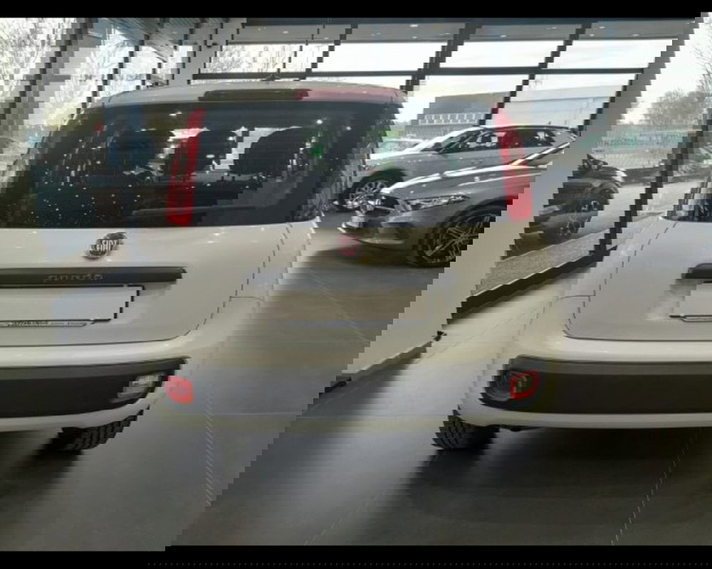 Fiat Panda usata a Bologna (2)