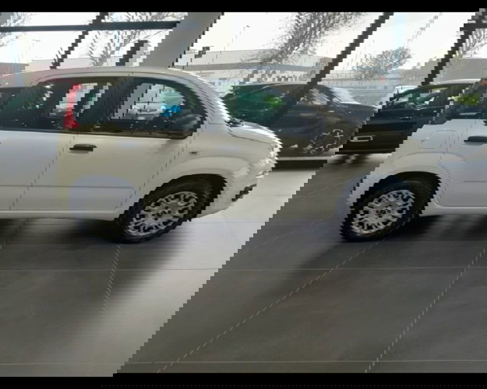 Fiat Panda usata a Bologna (4)