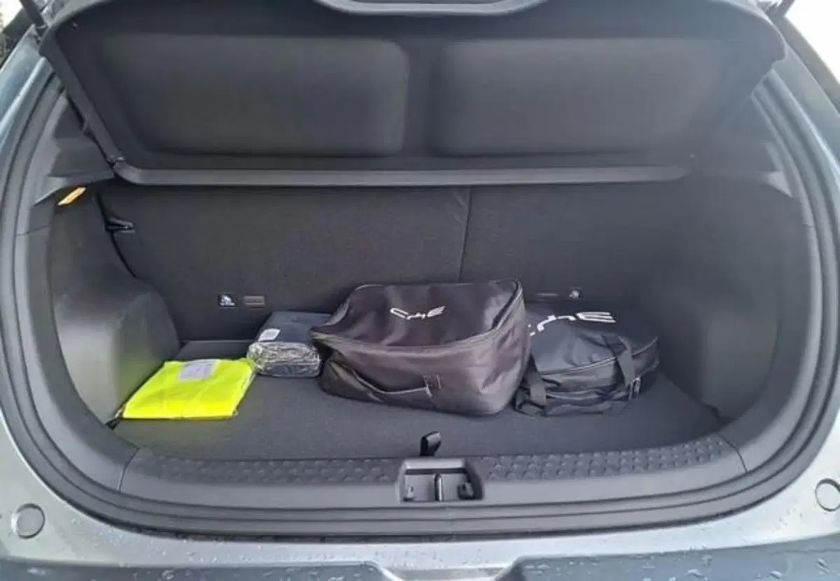 Byd Dolphin nuova a Bologna (6)