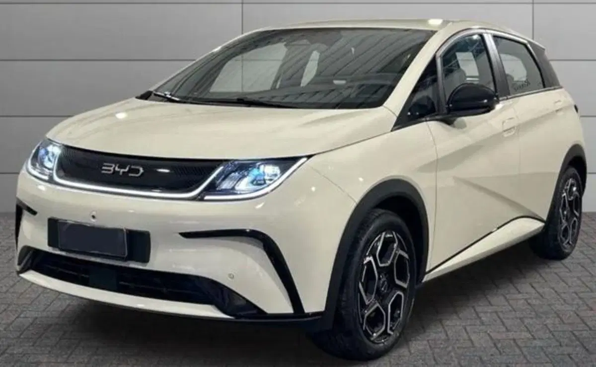 Byd Dolphin nuova a Bologna