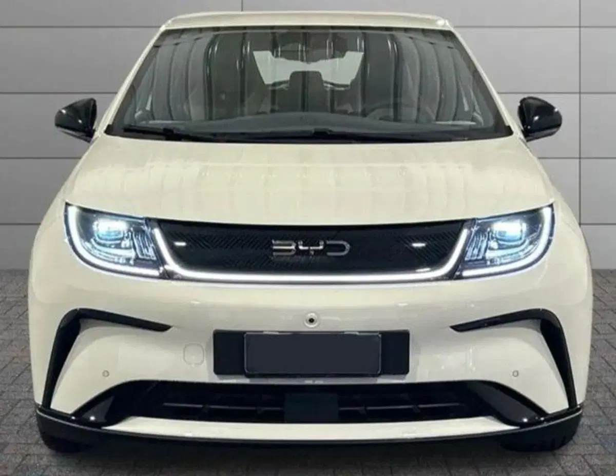 Byd Dolphin nuova a Bologna (2)