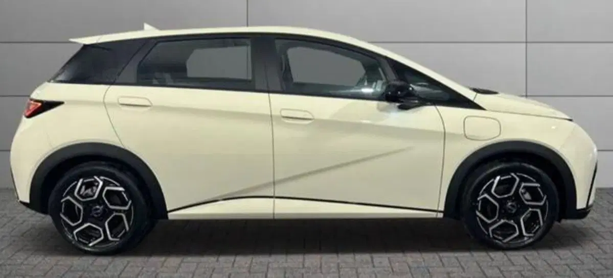 Byd Dolphin nuova a Bologna (5)