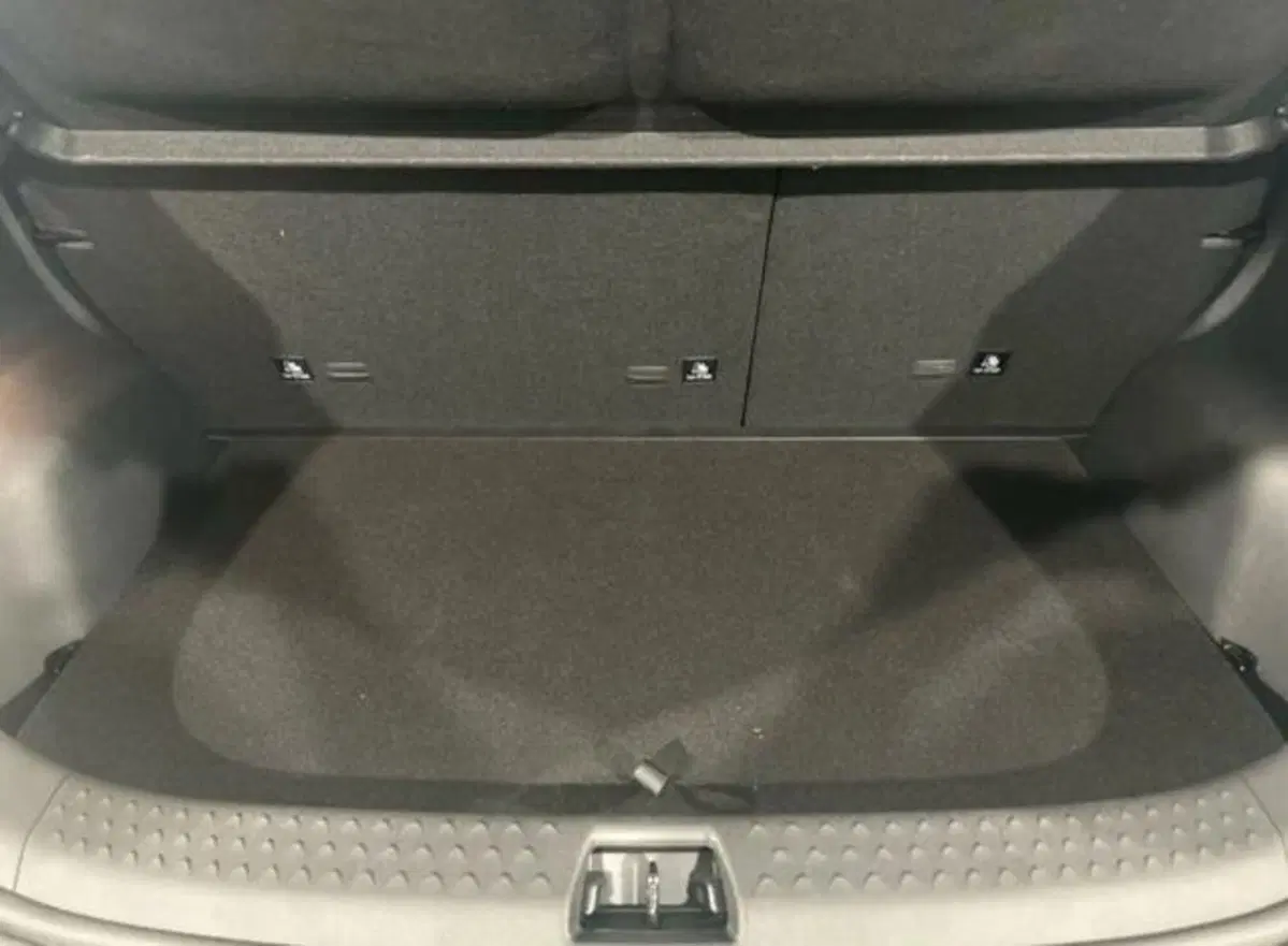 Byd Dolphin nuova a Bologna (7)