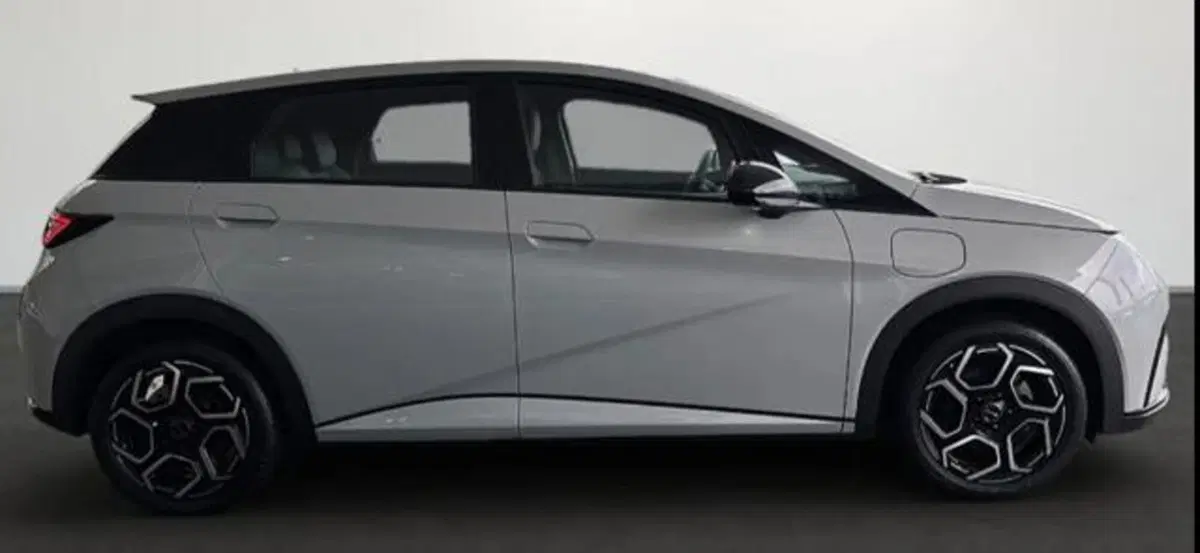 Byd Dolphin nuova a Bologna (3)