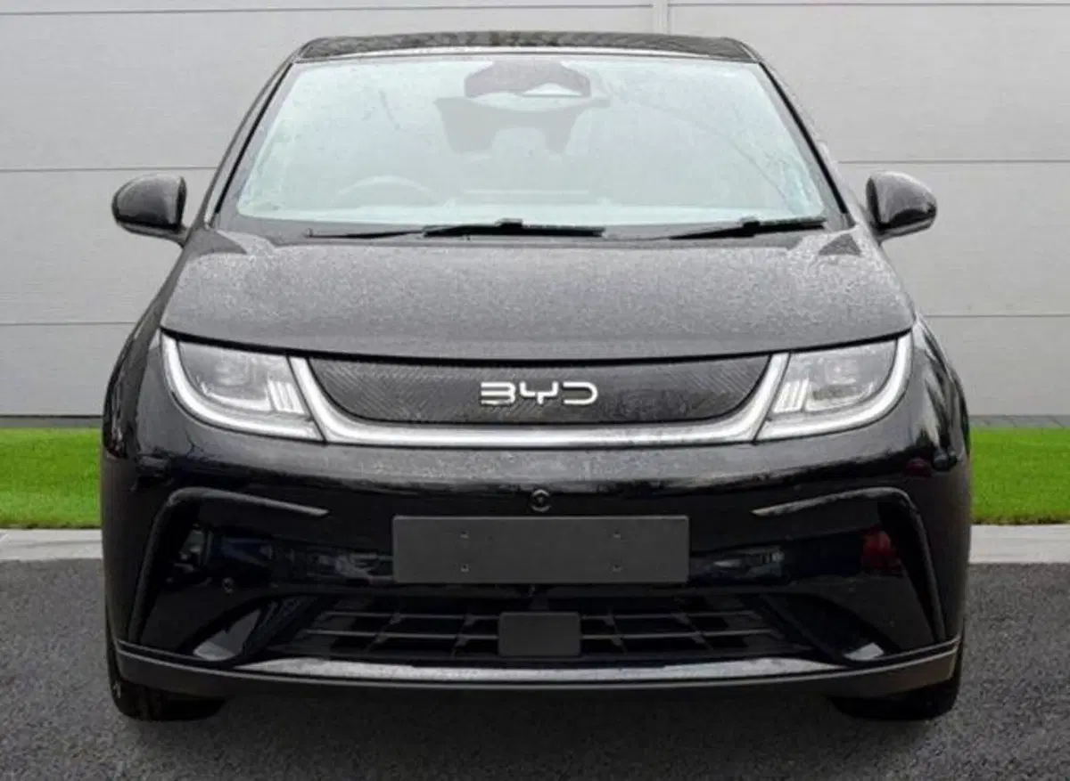 Byd Dolphin nuova a Bologna