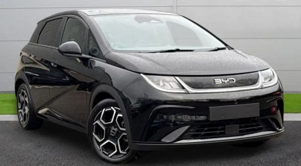 Byd Dolphin nuova a Bologna (2)