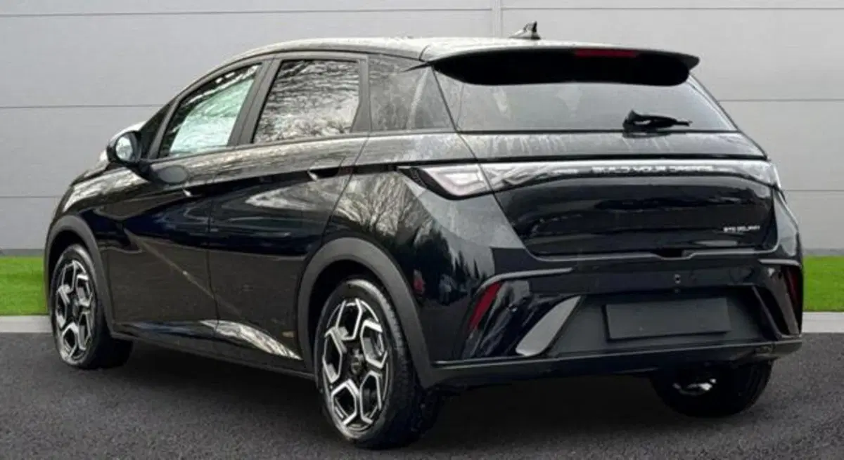 Byd Dolphin nuova a Bologna (3)