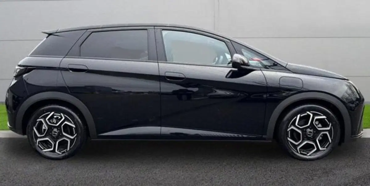 Byd Dolphin nuova a Bologna (4)