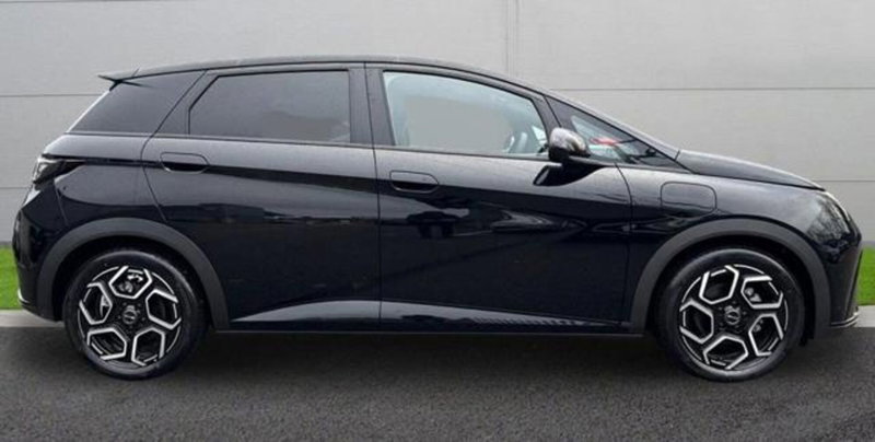 Byd Dolphin nuova a Bologna (4)