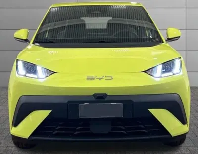 Byd Dolphin Surf 43,2 kWh Boost nuova a Castenaso