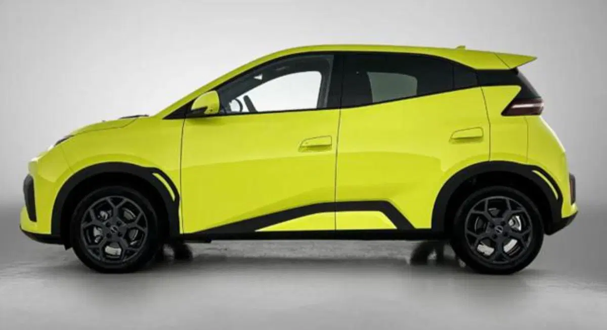Byd Dolphin Surf nuova a Bologna (3)