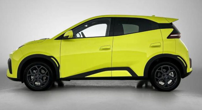 Byd Dolphin Surf nuova a Bologna (3)