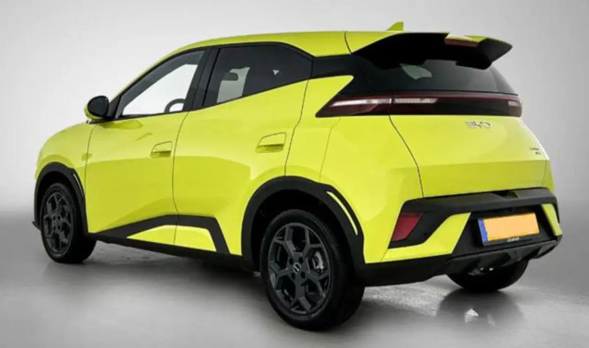 Byd Dolphin Surf nuova a Bologna (6)