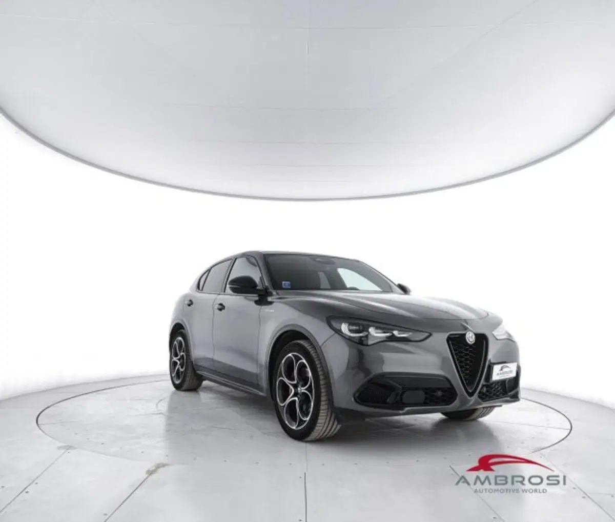 Alfa Romeo Stelvio usata a Perugia (2)