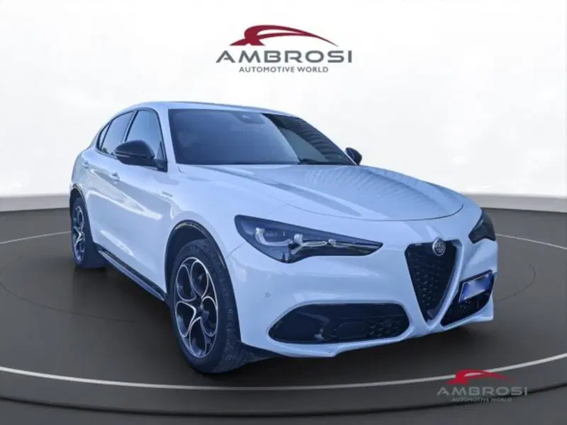 Alfa Romeo Stelvio usata a Perugia (2)
