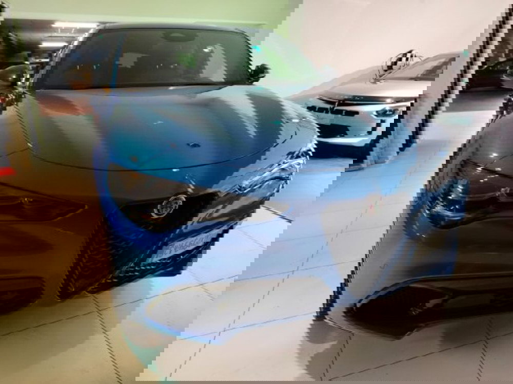 Alfa Romeo Stelvio usata a Forlì-Cesena (4)