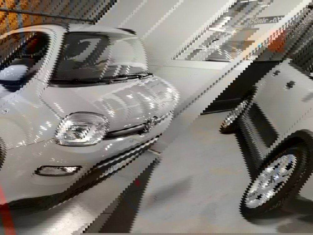 Fiat Panda usata a Forlì-Cesena (3)