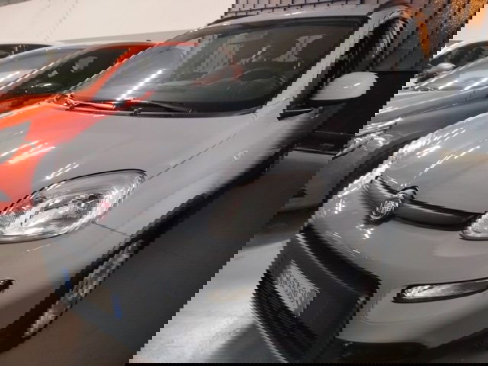 Fiat Panda usata a Forlì-Cesena (7)