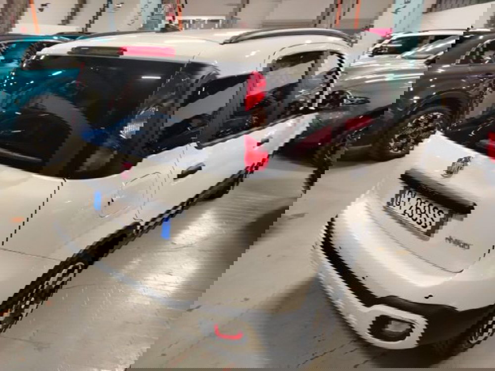 Fiat Panda usata a Forlì-Cesena (10)