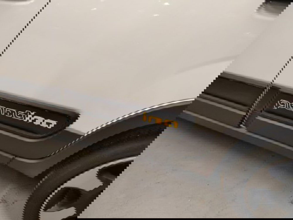 Fiat Panda usata a Forlì-Cesena (12)