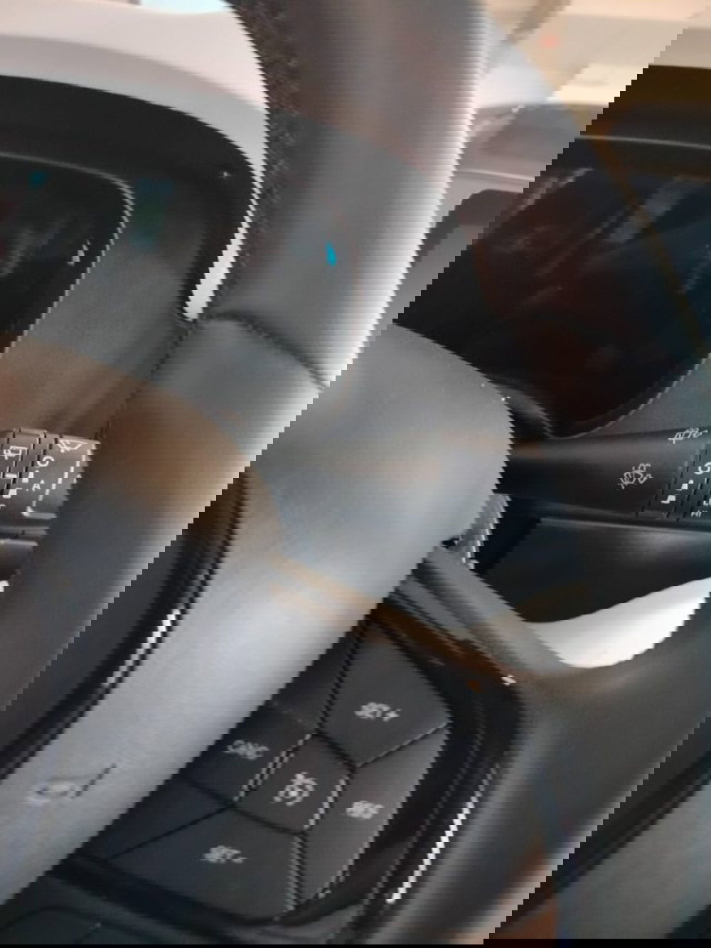 Fiat Panda usata a Forlì-Cesena (18)