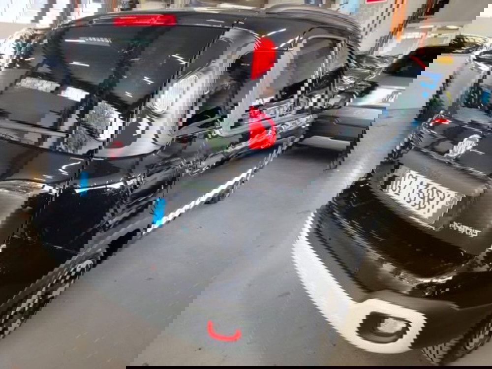 Fiat Panda usata a Forlì-Cesena (3)