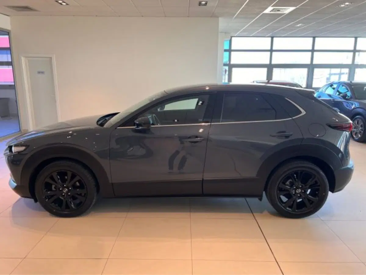 Mazda CX-30 usata a Modena (4)