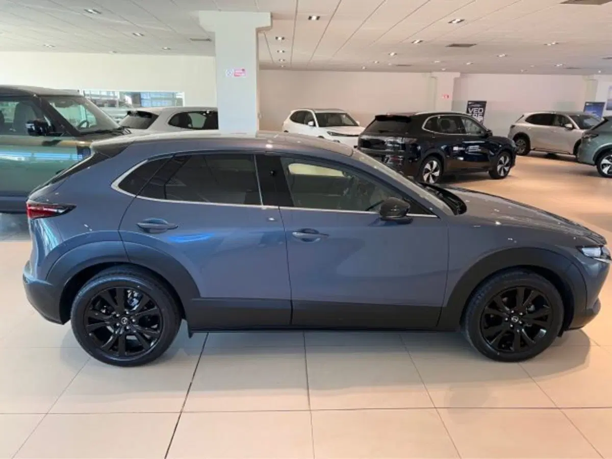 Mazda CX-30 usata a Modena (8)