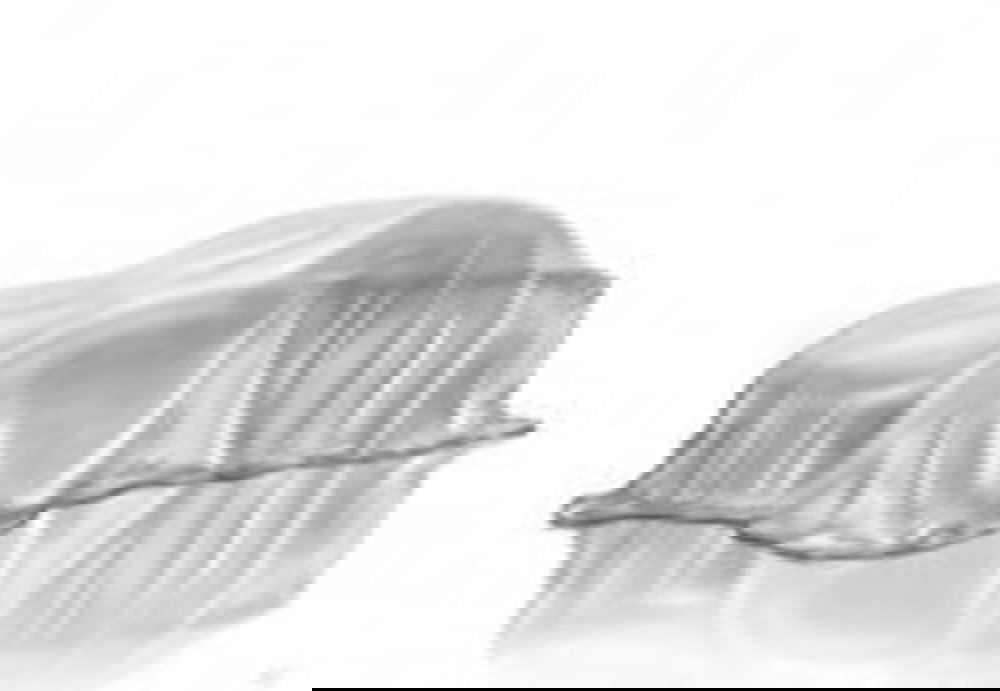 BMW X5 nuova a Torino (4)