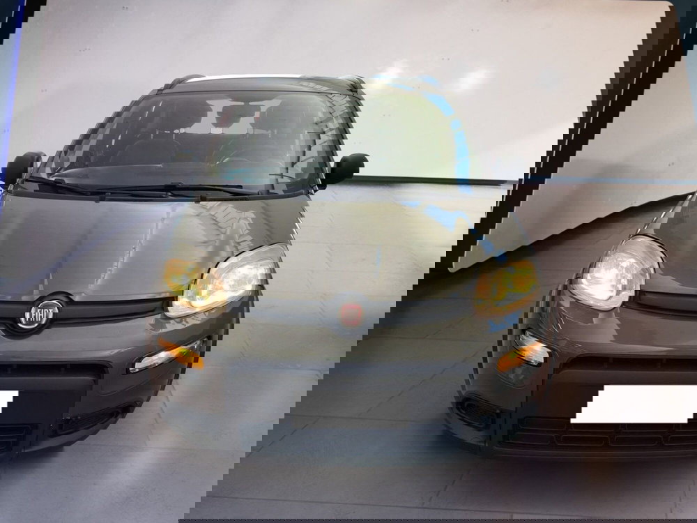 Fiat Panda usata a Torino