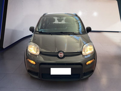 Fiat Panda 1.0 FireFly S&amp;S Hybrid City Cross del 2021 usata a Torino