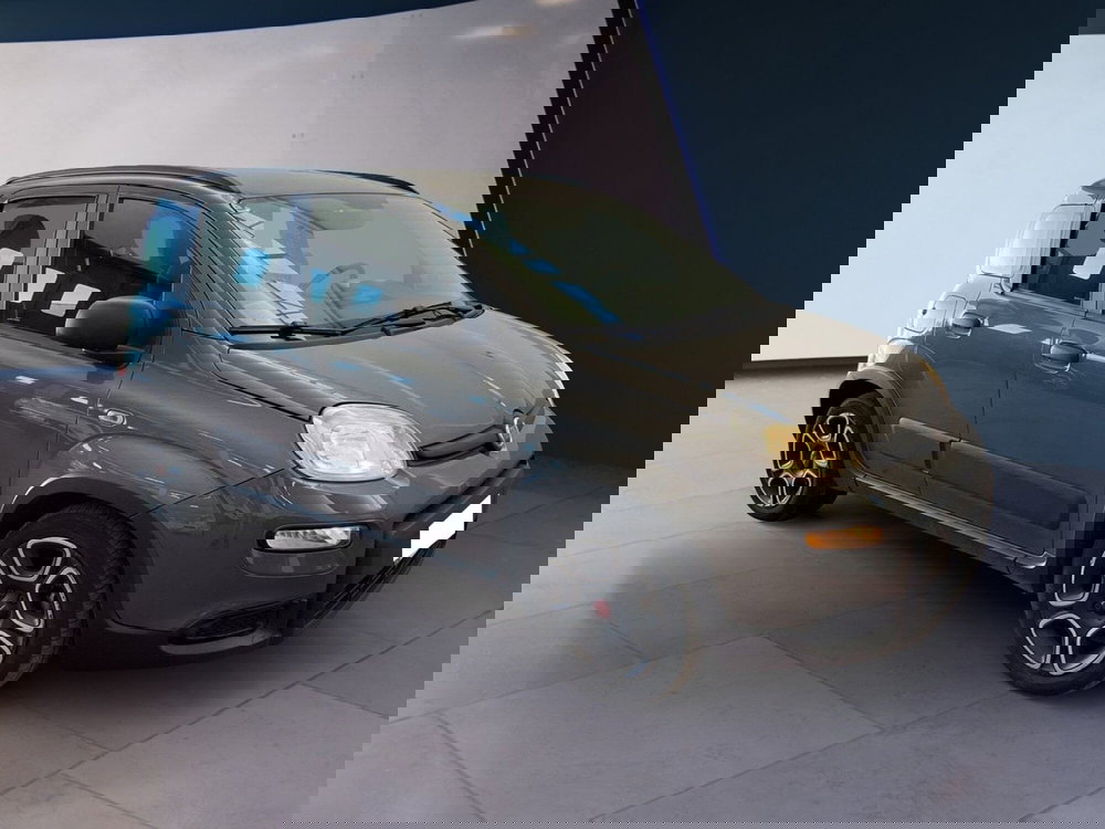 Fiat Panda usata a Torino (2)